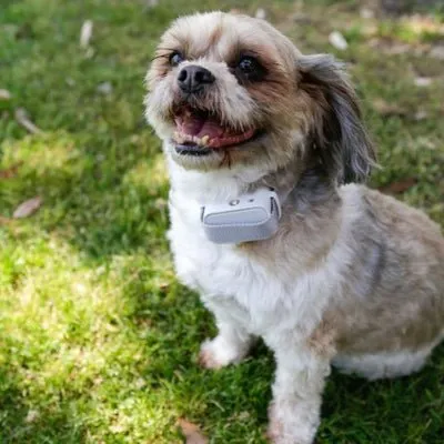 Barktec A02 No Shock Dog Bark Training Collar