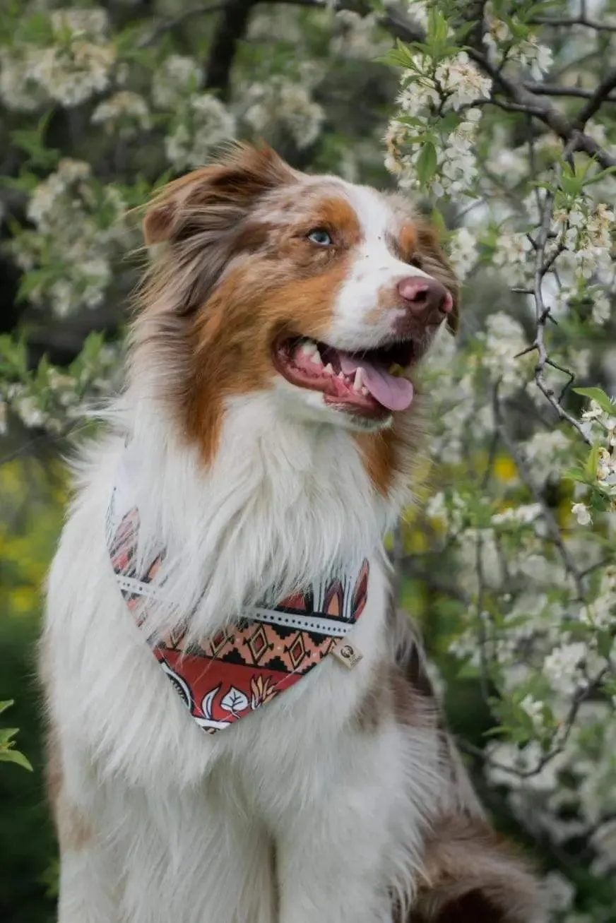 Bohemian Aztec Flowers Bandana