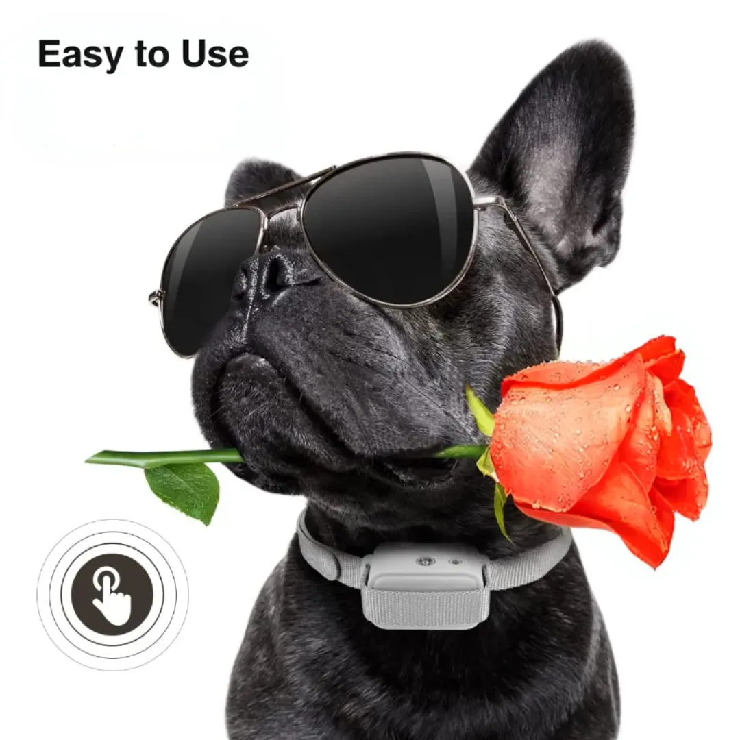 Calmshops Deluxe Automatic Dog Training Spray Collar, Dog Collar with Citronella Spray
