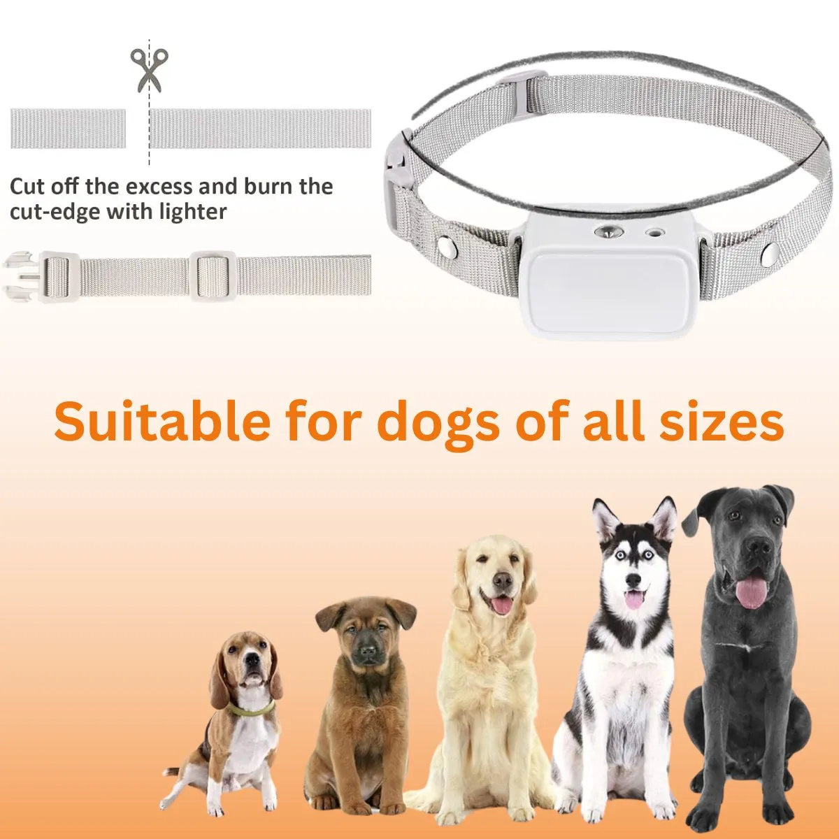 Calmshops Deluxe Automatic Dog Training Spray Collar, Dog Collar with Citronella Spray