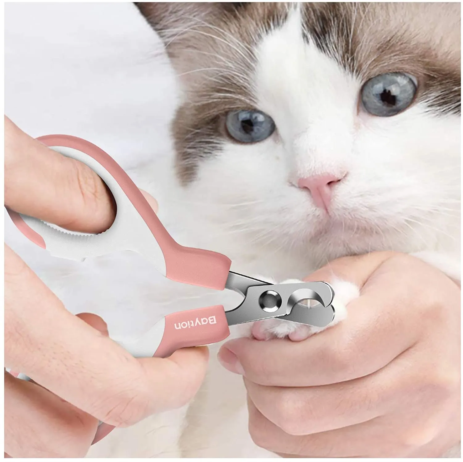Cat Nail Clippers