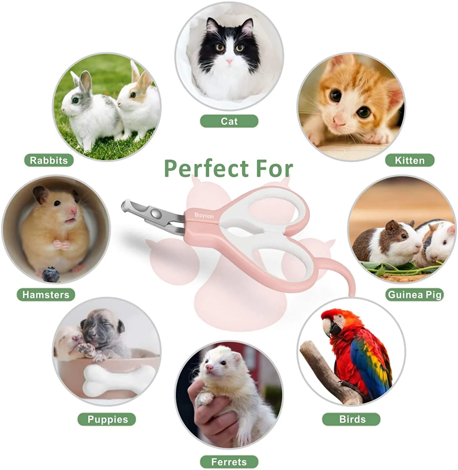 Cat Nail Clippers