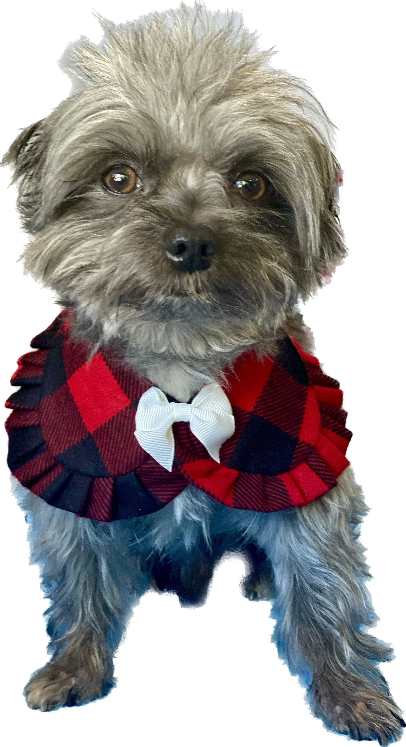 Christmas Dog Bandana, Buffalo Plaid