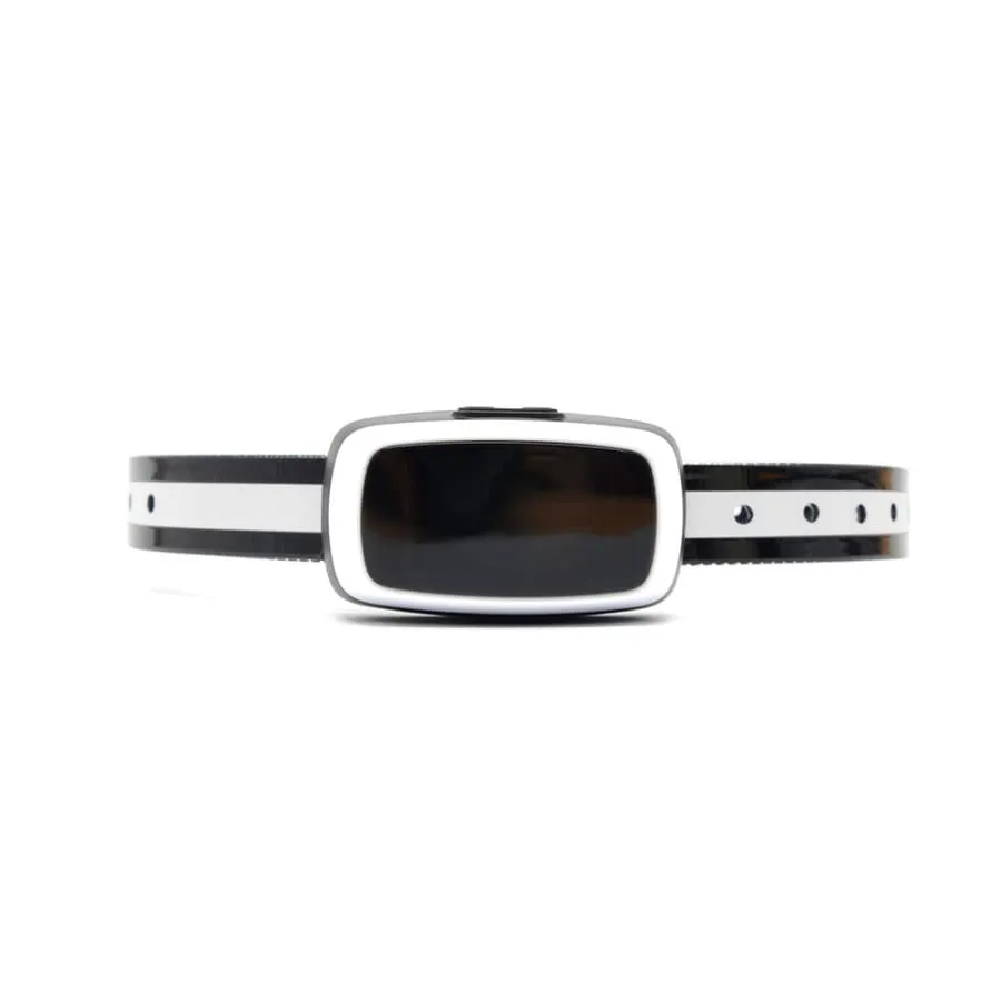 Dog Training Collar Shock or No Shock color WHITE