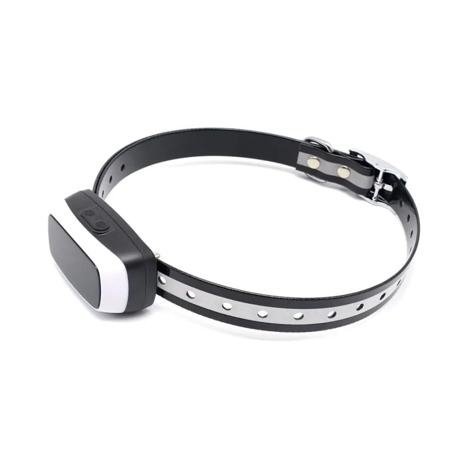 Dog Training Collar Shock or No Shock color WHITE