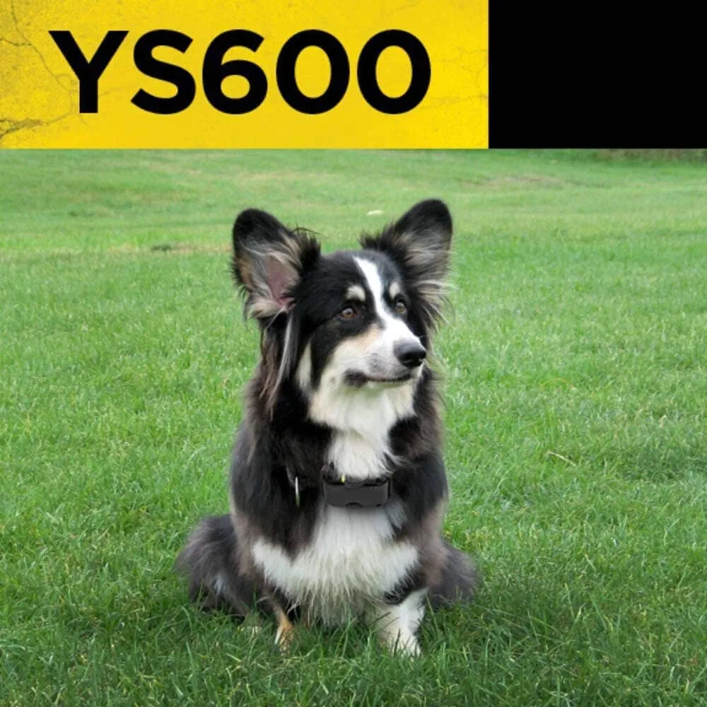 Dogtra YS600 No Bark Collar  (Refurbished)