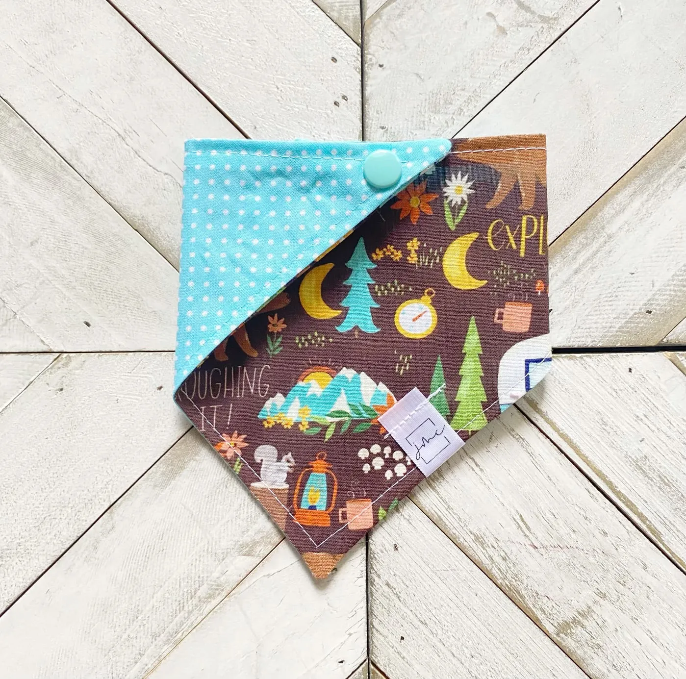 Explore With Me Pet Bandana