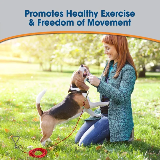 Four Paws Walk-About Medium Weight Dog Tie Out Cable