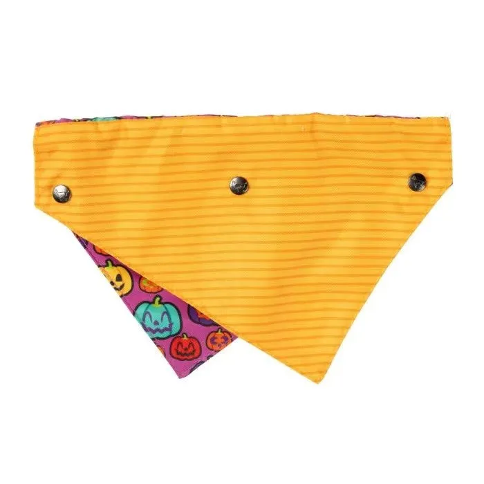 Fuzzyard Oh My Gourd! Dog Bandana Bowtie 2 Pack Large