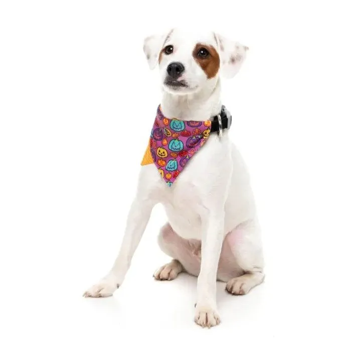Fuzzyard Oh My Gourd! Dog Bandana Bowtie 2 Pack Large