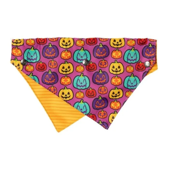 Fuzzyard Oh My Gourd! Dog Bandana Bowtie 2 Pack Large