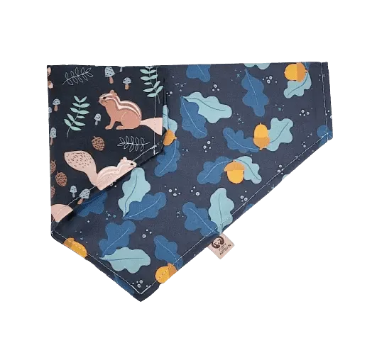 Little Squirrels Bandana