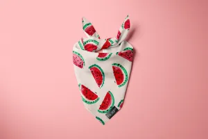 Melon Meow - Cat Bandana