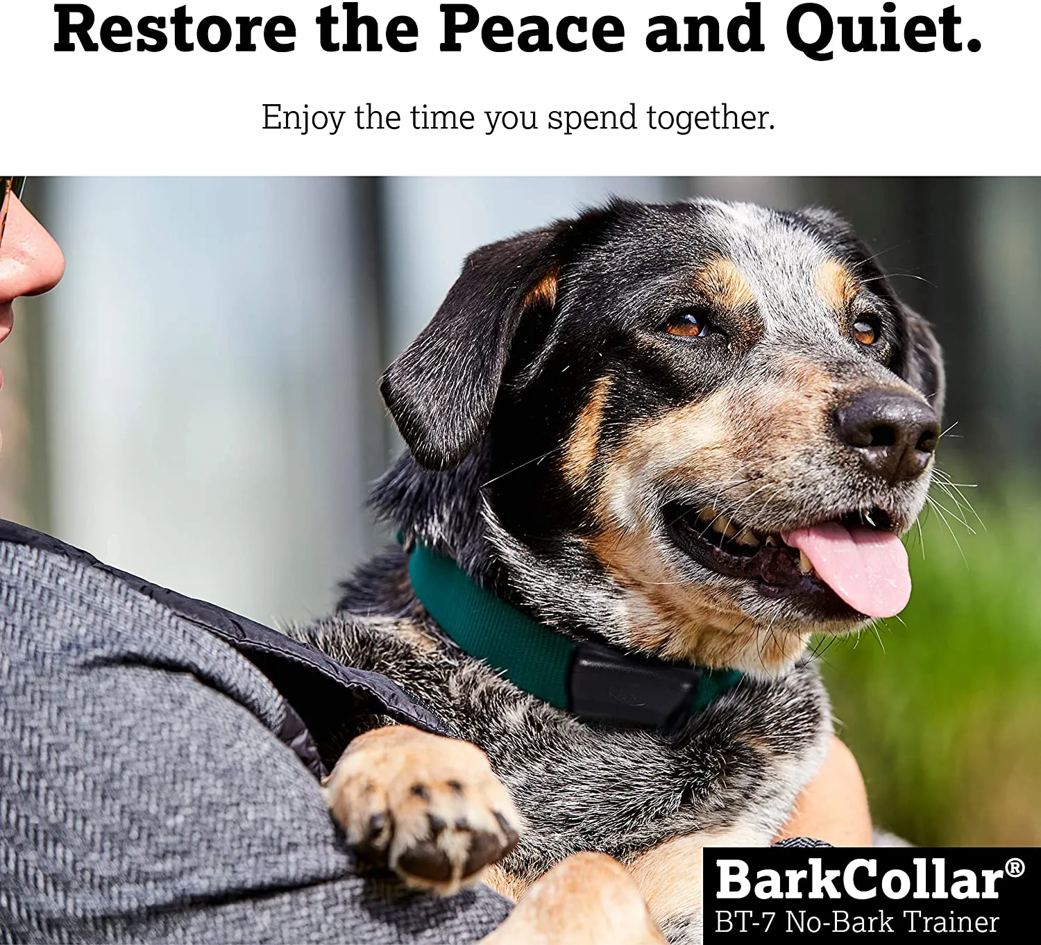 No Bark Dog Training Collar - Vibration - DogWatch BT-7 No-Bark Training Collar
