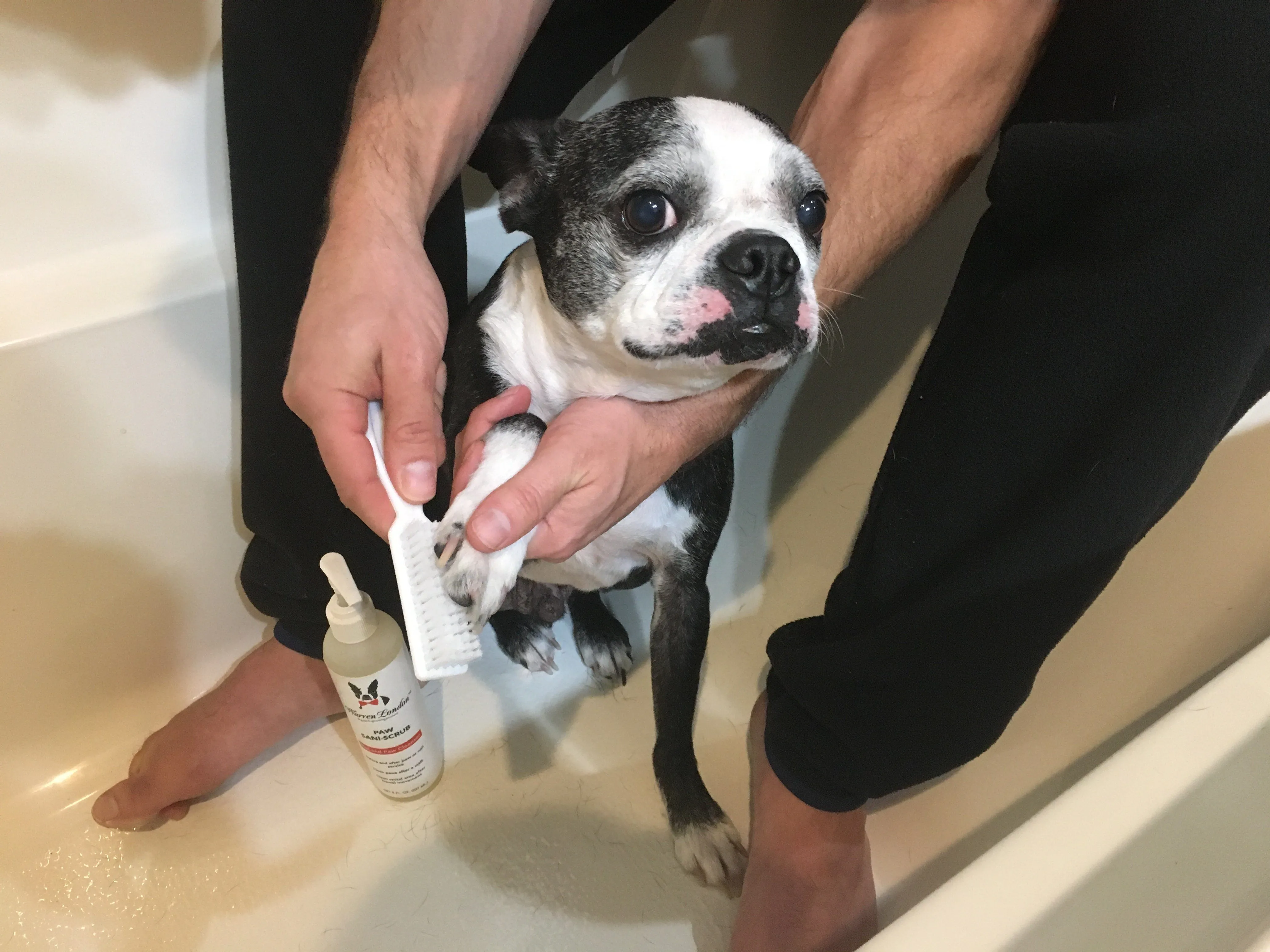 Paw Sani-Scrub - Paw and Nail Cleanser