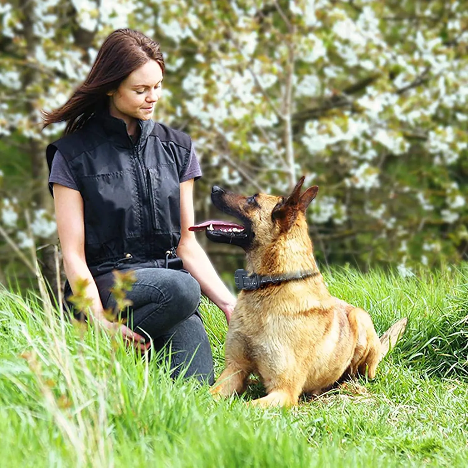 Rechargeable Anti Barking Training Collar
