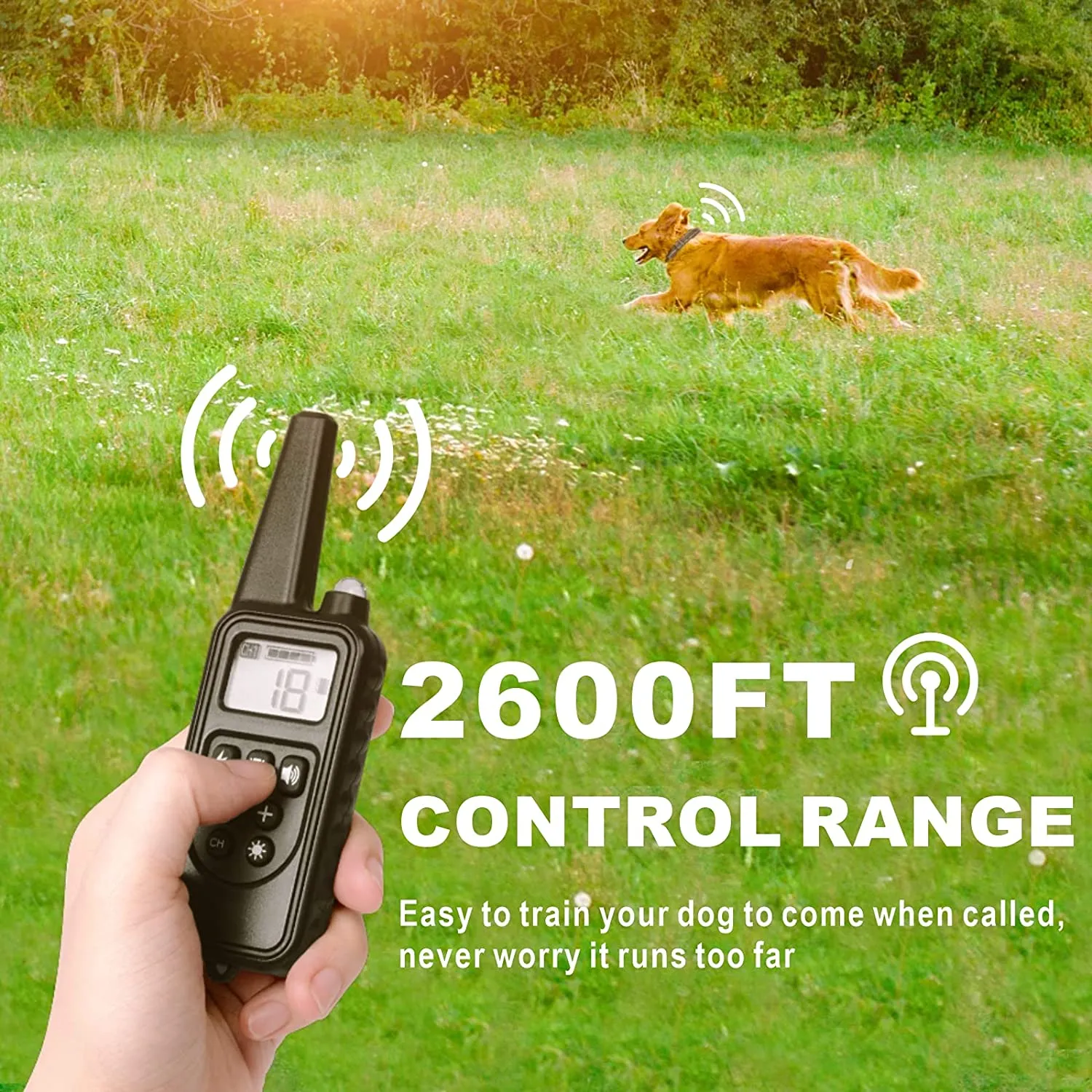 Rechargeable Anti Barking Training Collar