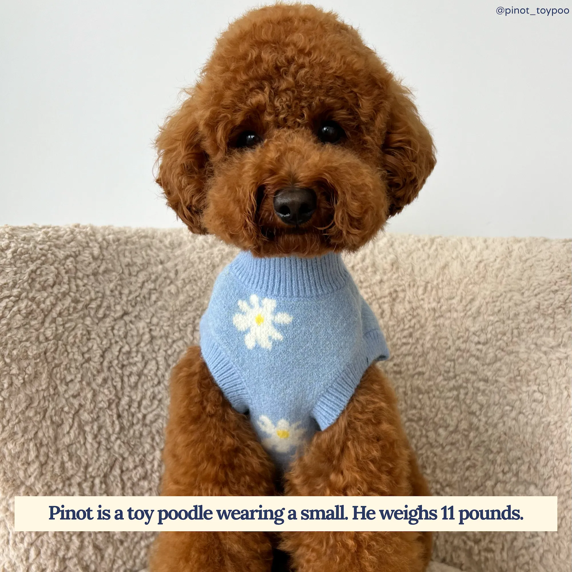 Simply Spendid Sweater