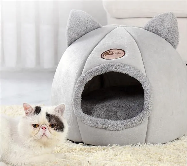Winter Cats House