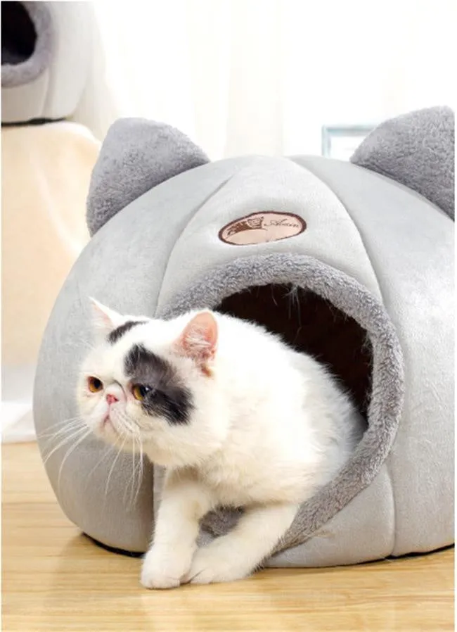 Winter Cats House