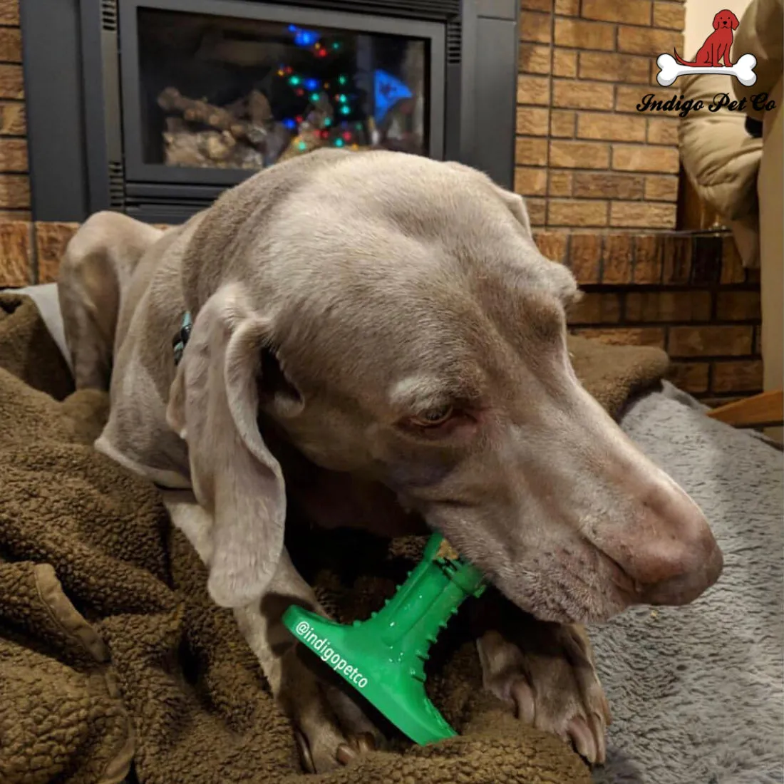 World's Most Effective Dog Toothbrush & Toothpaste Set