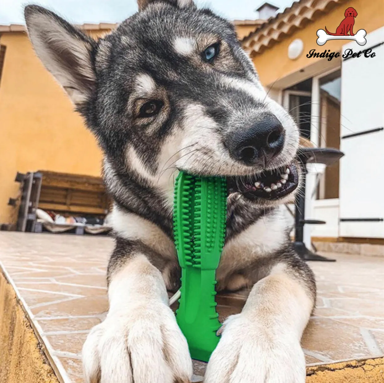 World's Most Effective Dog Toothbrush & Toothpaste Set