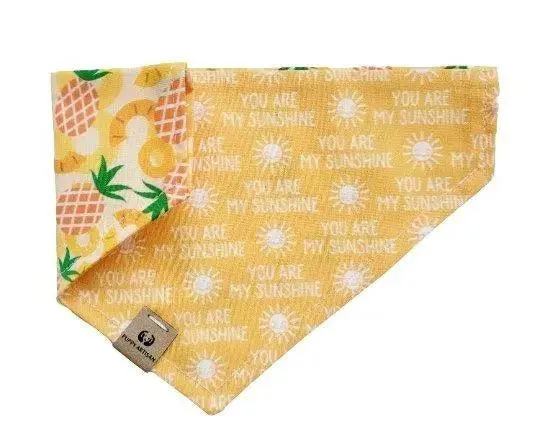 You Are My Sunshine Bandana